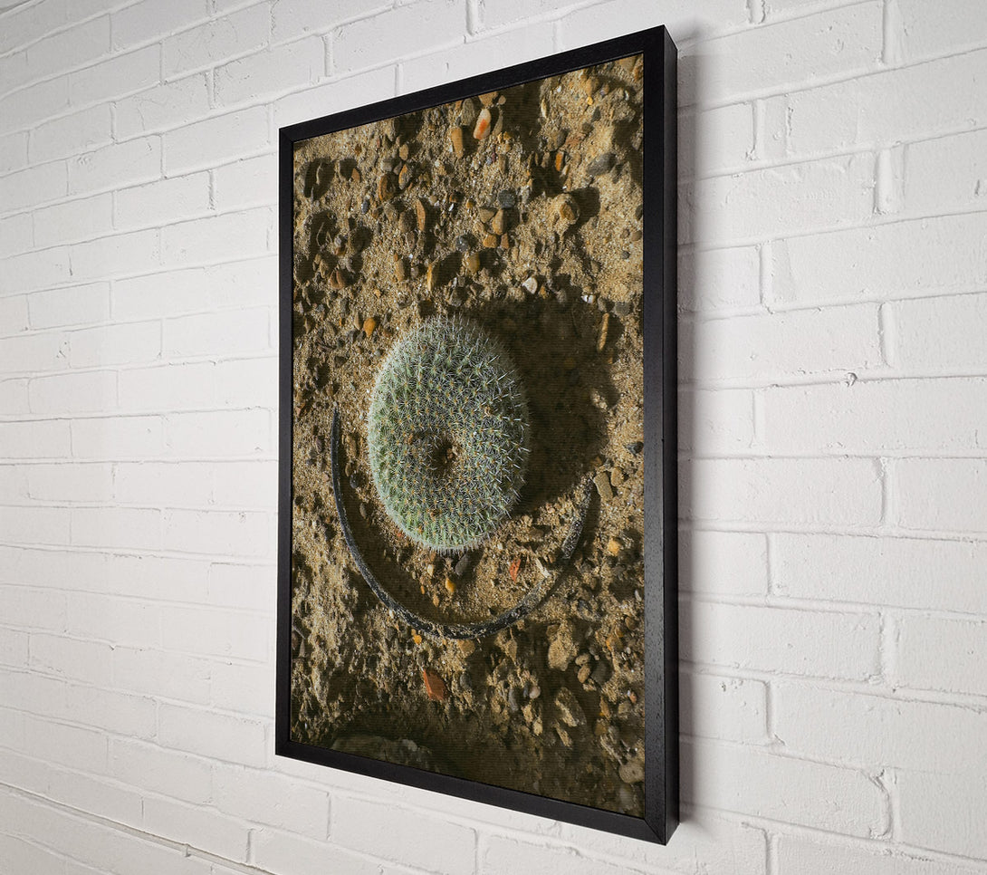  A Canvas Print of Green Desert Circle Canvas Print