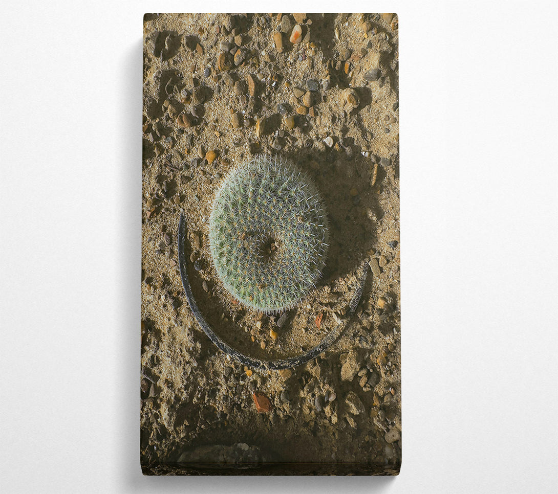  A Canvas Print of Green Desert Circle Canvas Print