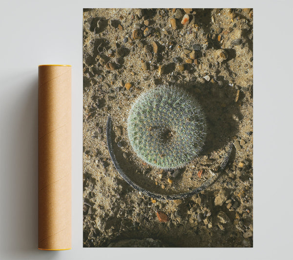 Green Desert Circle Print
