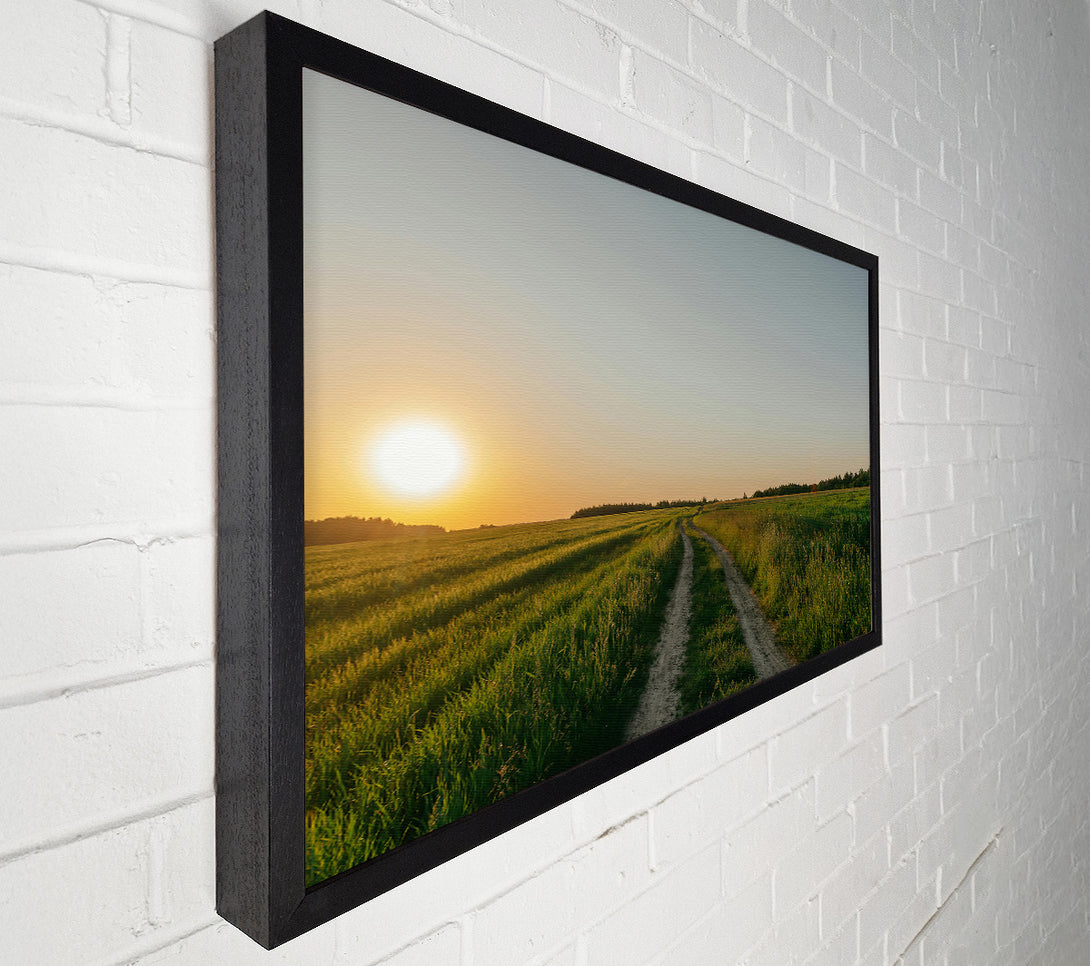  A Canvas Print of Golden Green Path Canvas Print