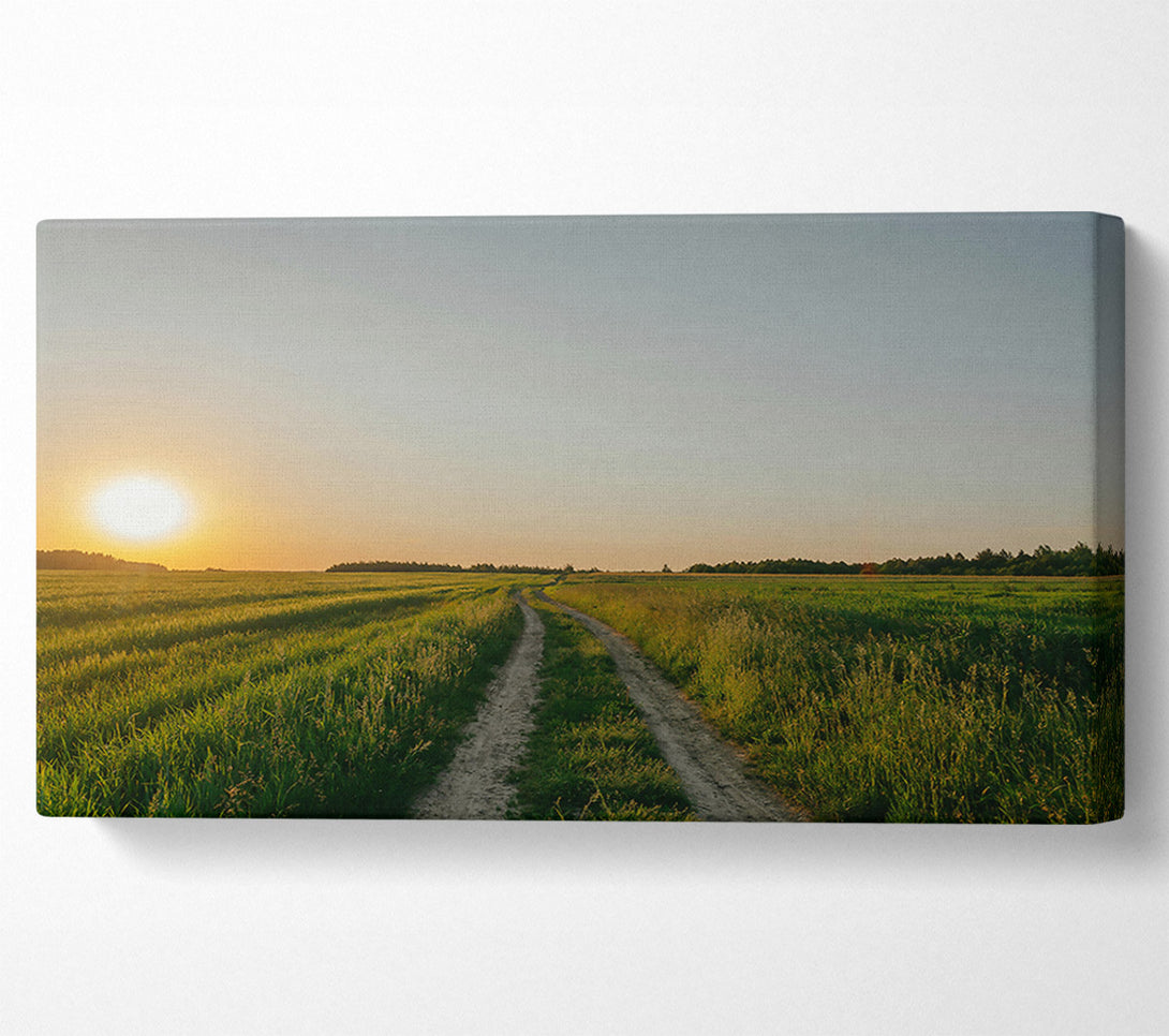  A Canvas Print of Golden Green Path Canvas Print
