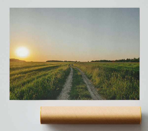 Golden Green Path Poster