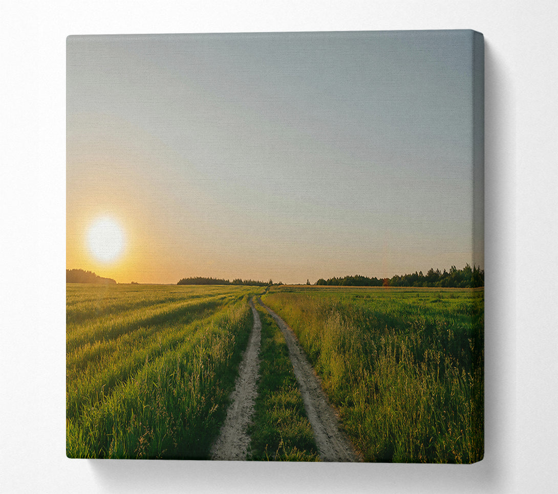  A Canvas Print of Golden Green Path Canvas Print