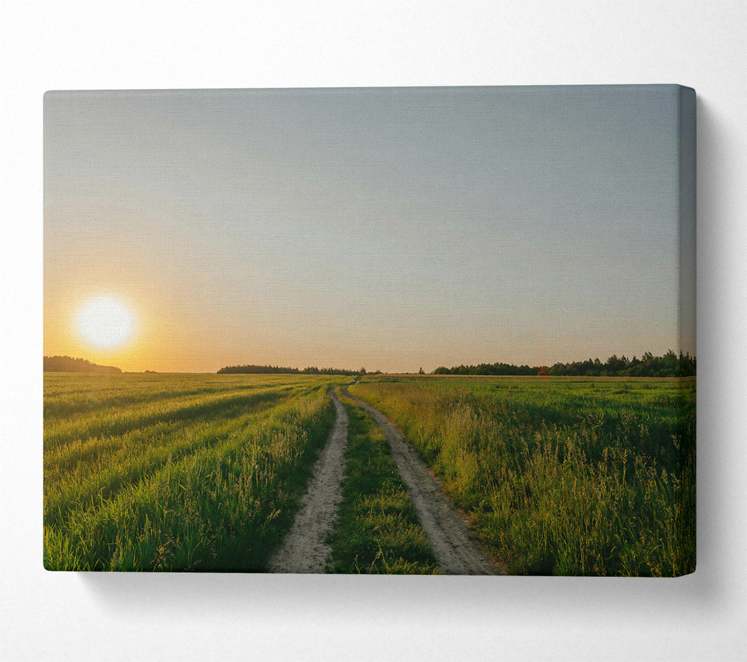 A Canvas Print of Golden Green Path Canvas Print