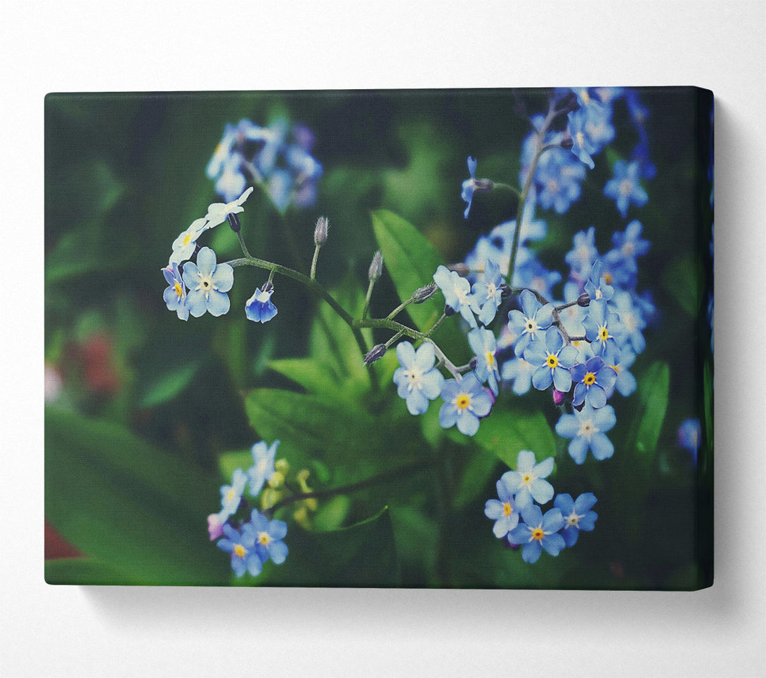  A Canvas Print of Azure Floral Embrace Canvas Wall Art