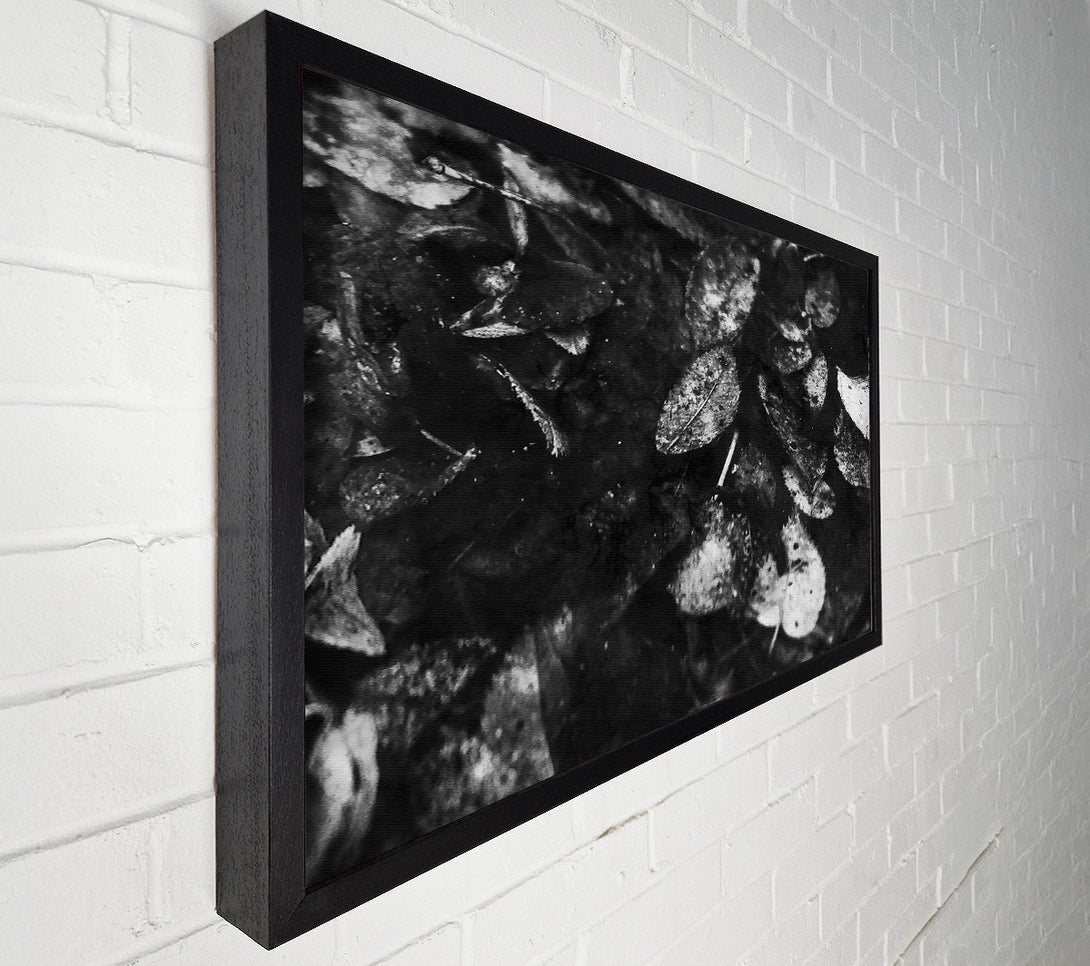  A Canvas Print of White Leaves On Black Canvas Art