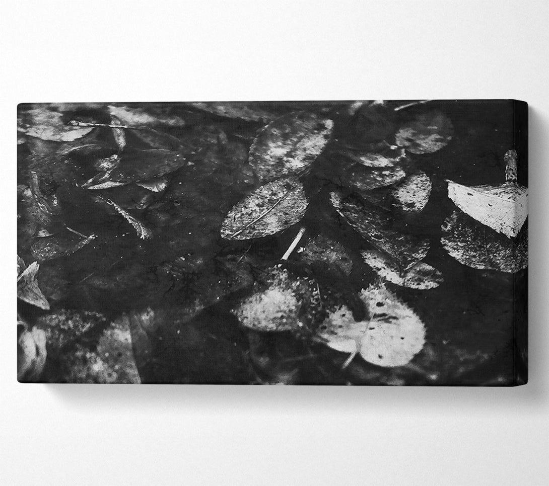  A Canvas Print of White Leaves On Black Canvas Art
