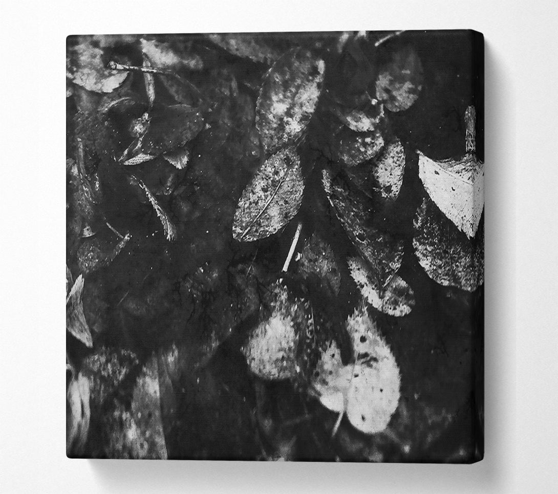  A Canvas Print of White Leaves On Black Canvas Art