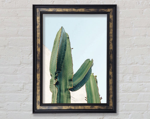 Big Green Cactus Framed Print