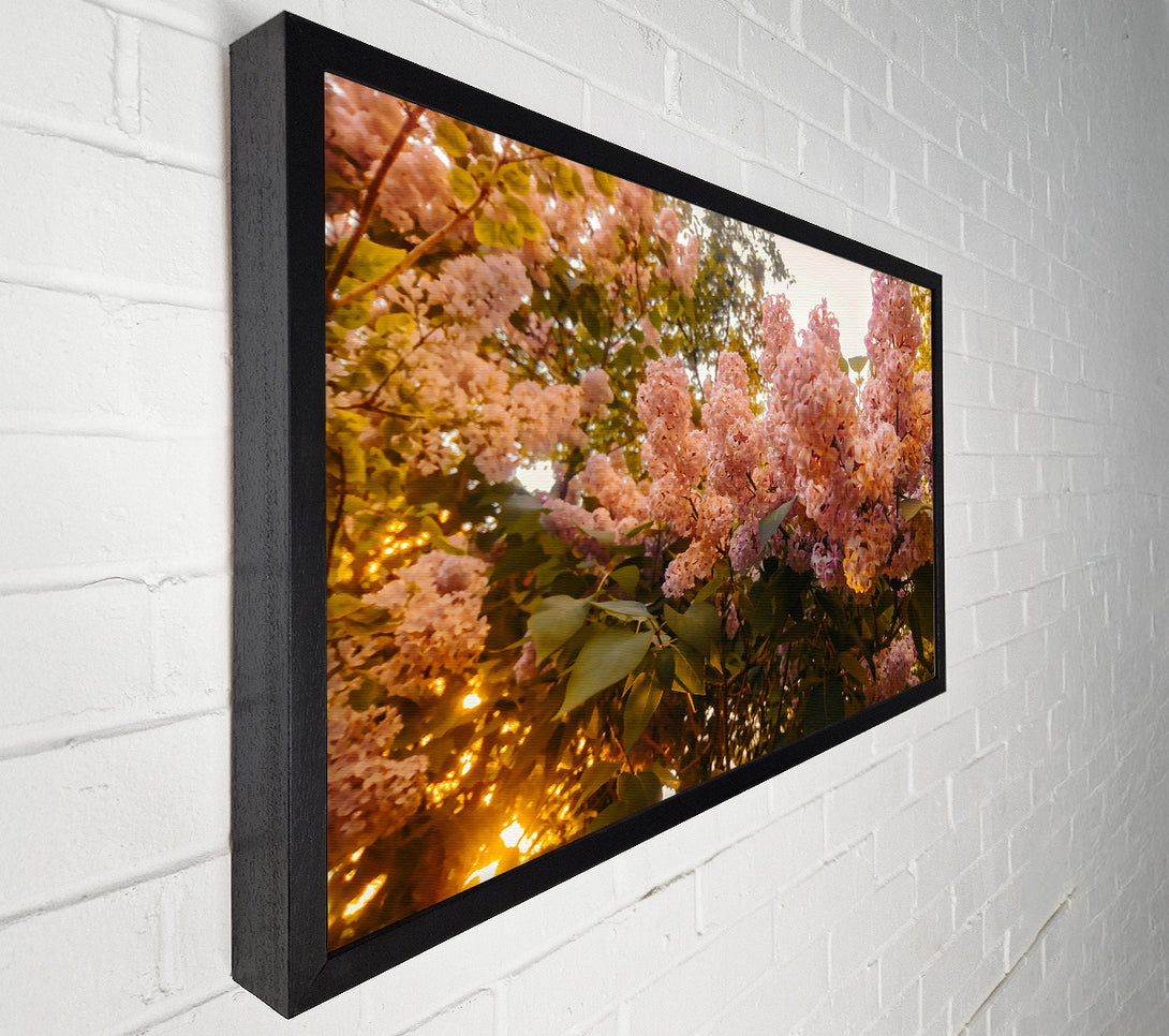  A Canvas Print of Pink Lilac Bloom Canvas Art