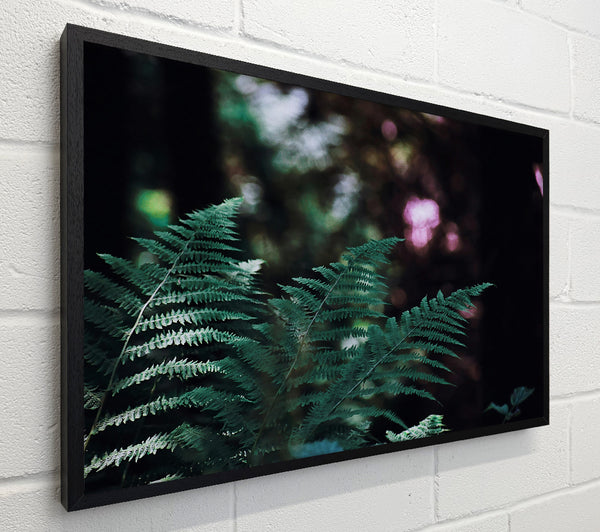 Emerald Fern Whisper