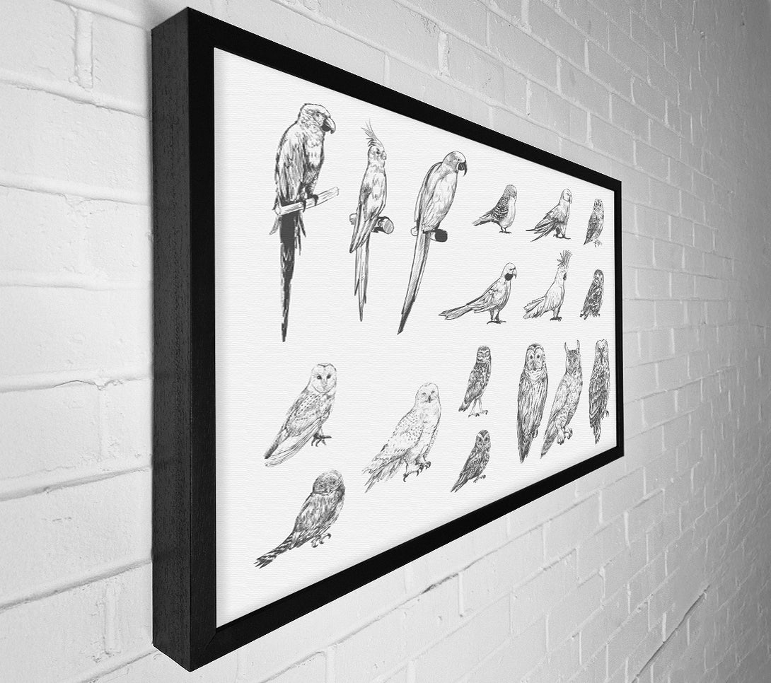  A Canvas Print of Bird Selection Canvas Art