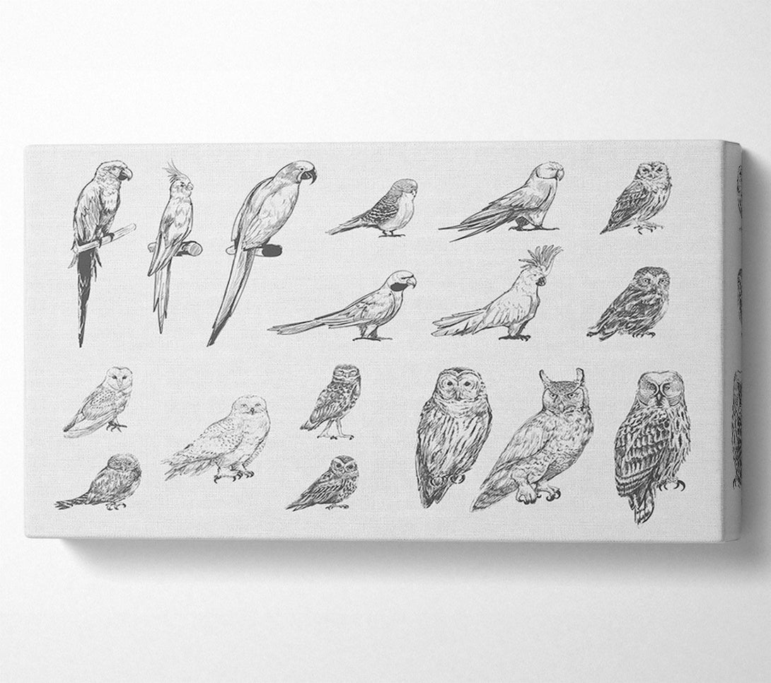  A Canvas Print of Bird Selection Canvas Art