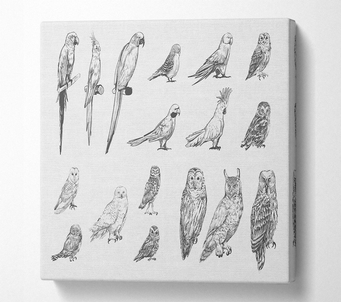  A Canvas Print of Bird Selection Canvas Art