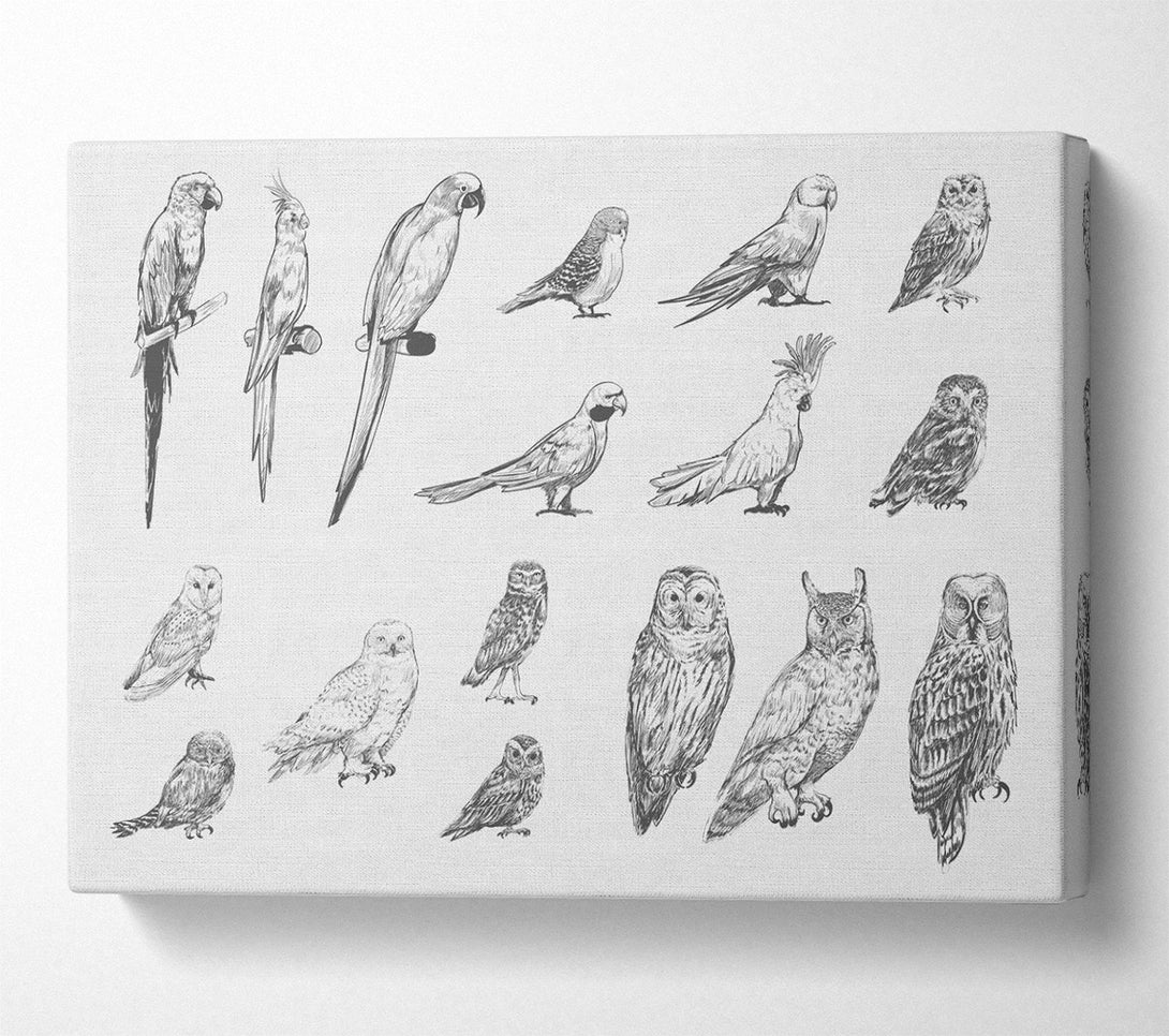  A Canvas Print of Bird Selection Canvas Art