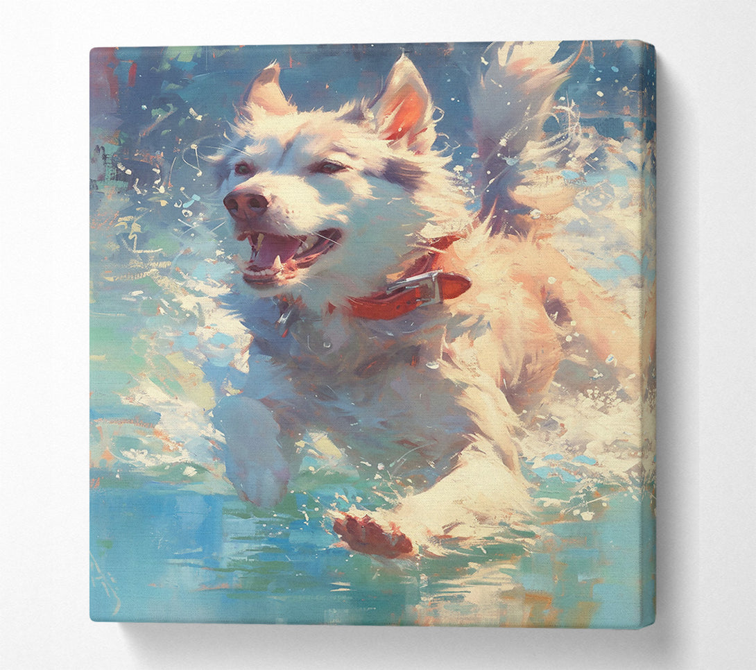  A Canvas Print of White Dog'S Splash Canvas Art