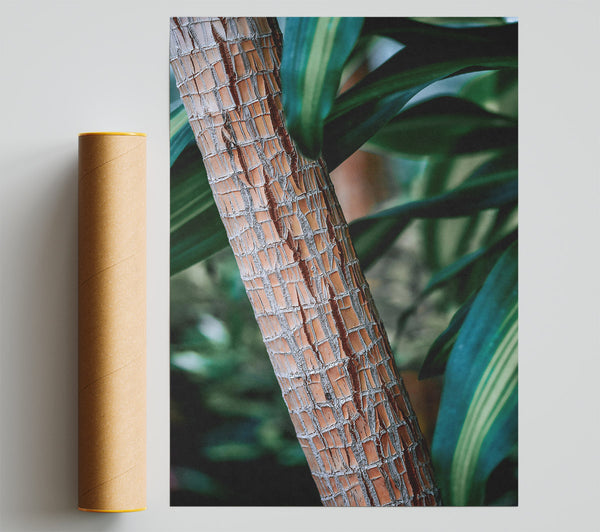 Orange Bark And Green Leaves. Print