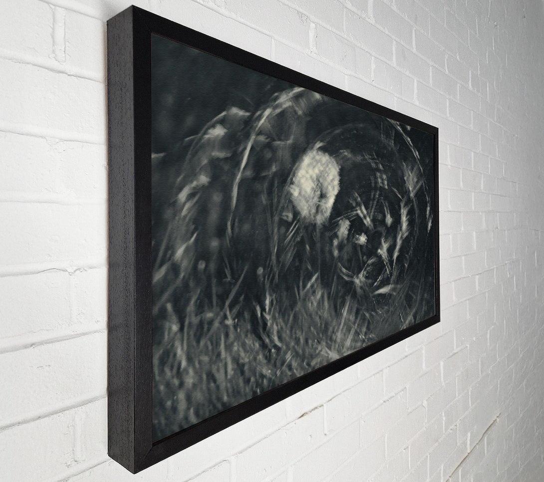 A Canvas Print of Silver Whispers Of Time. Canvas Print