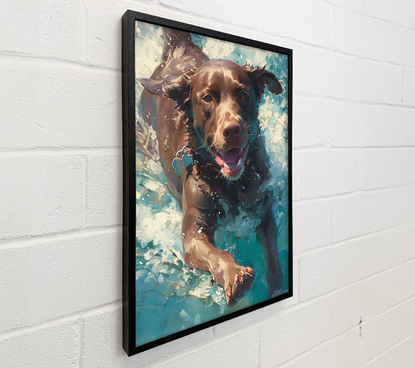 Brown Dog Splashing Blue