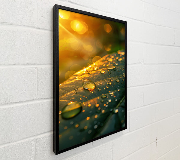 Golden Dewdrops On Green