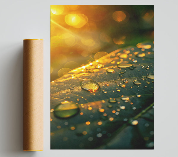 Golden Dewdrops On Green Print