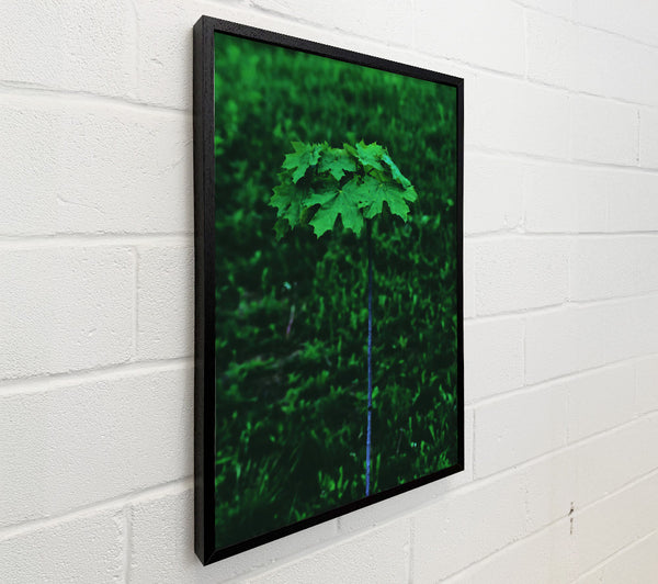 Emerald Sprout Rising