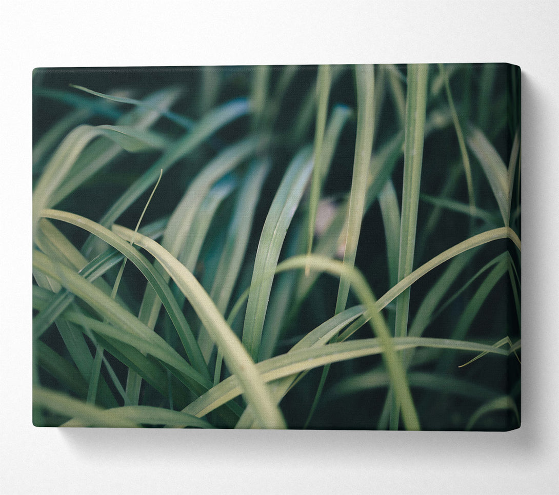  A Canvas Print of Emerald Green Blades Canvas Wall Art