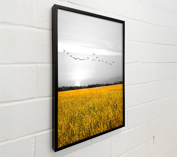 Birds Over A Corn Field