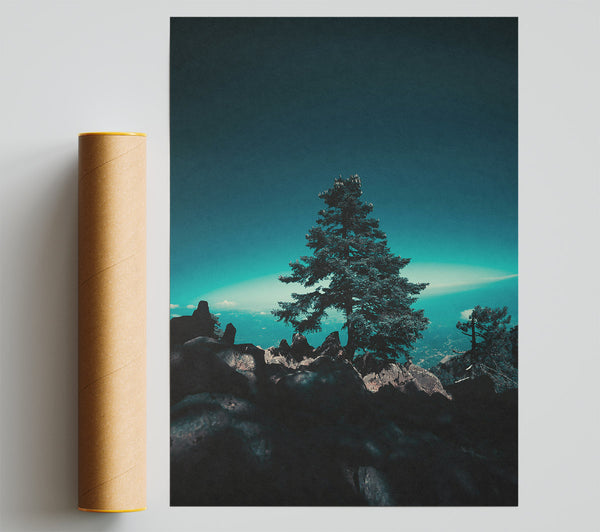 Teal Silhouette Treetop Print