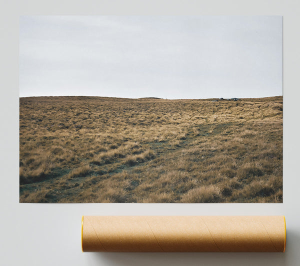 Golden Grass Path Print