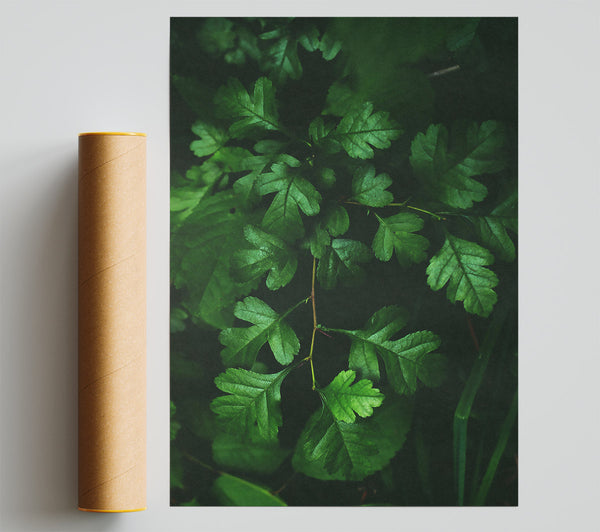 Emerald Forest Branch Giclee Print