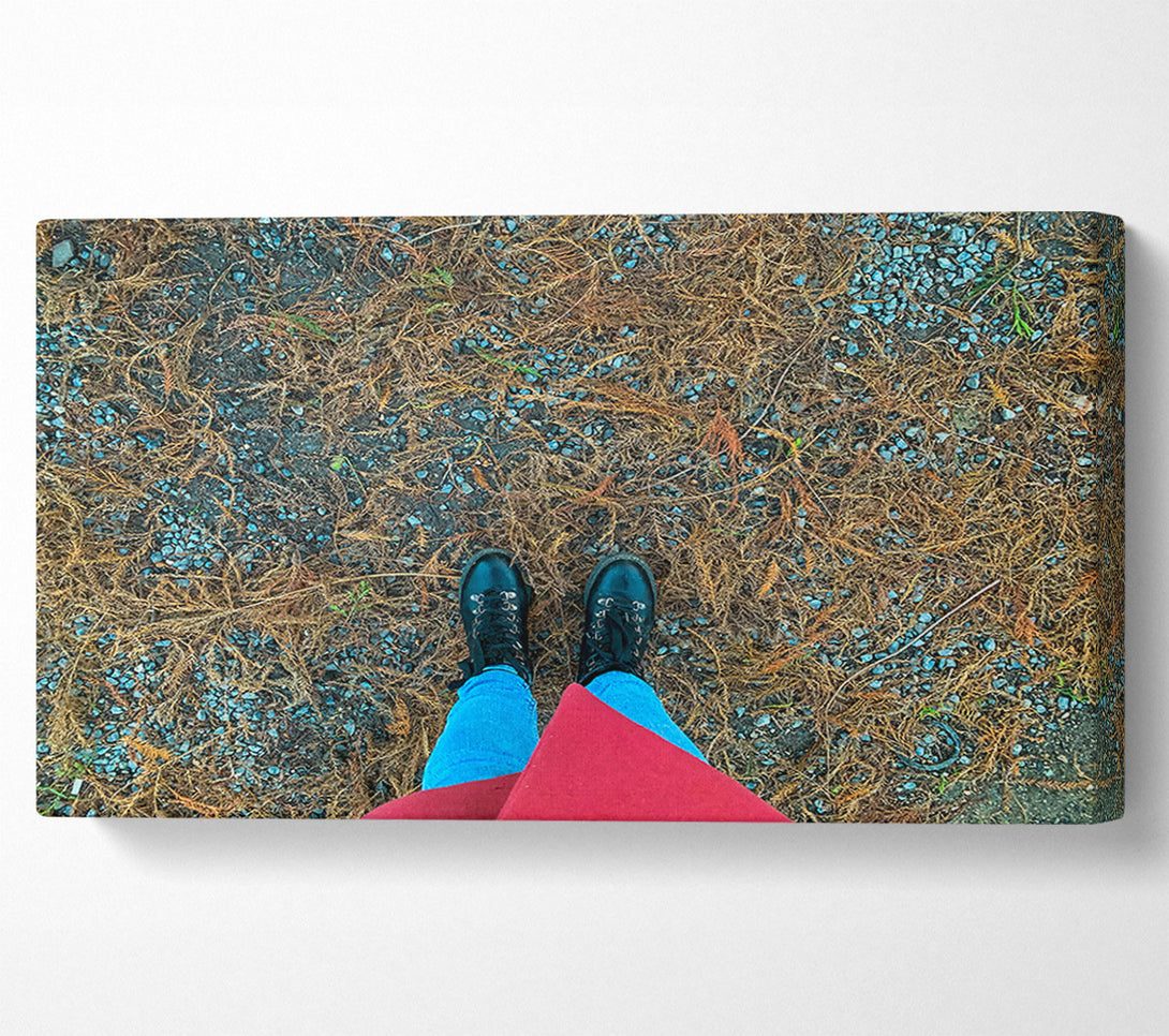  A Canvas Print of Blue Ground And Boots Canvas Art