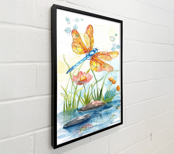 Orange Dragonfly Pond