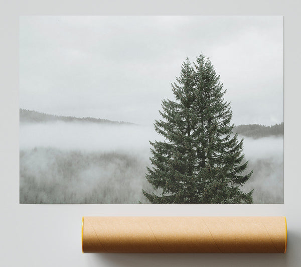 Green Through The Mist Giclee Print
