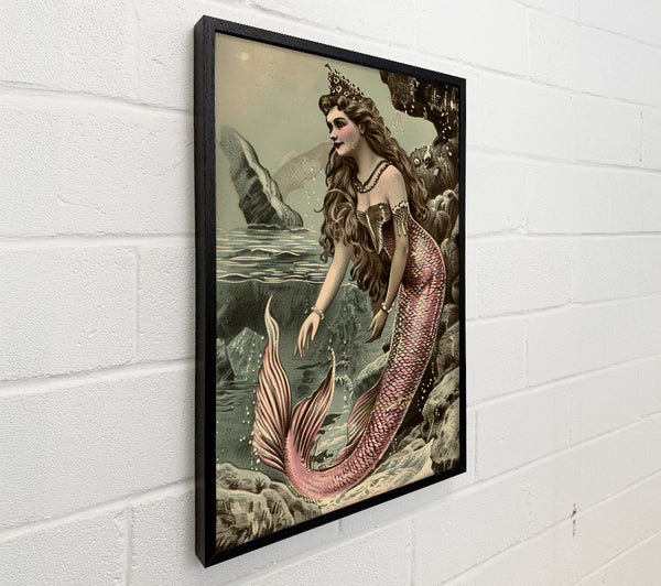 Pink Mermaid'S Grace