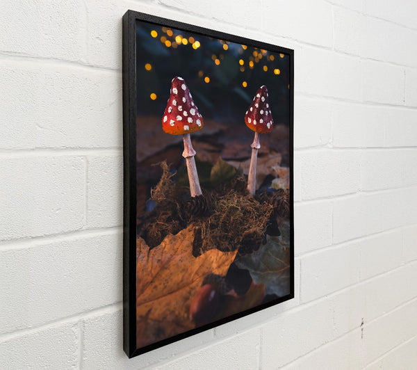 Red Spotted Forest Floor