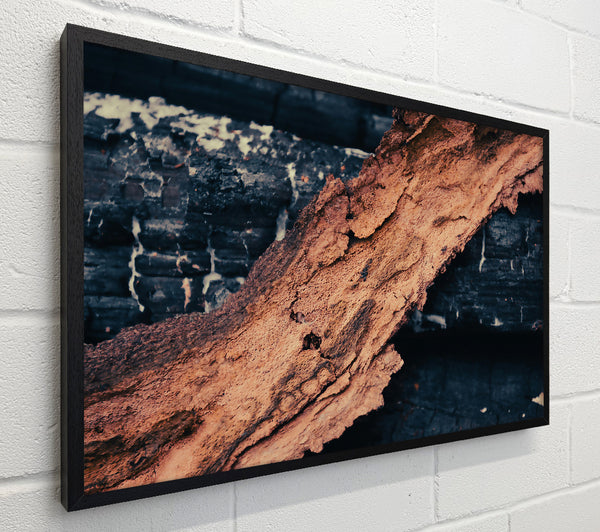 Burnt Orange Bark