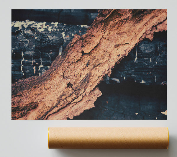 Burnt Orange Bark Poster