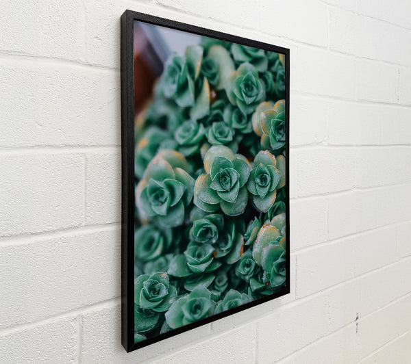 Emerald Succulent Blooms
