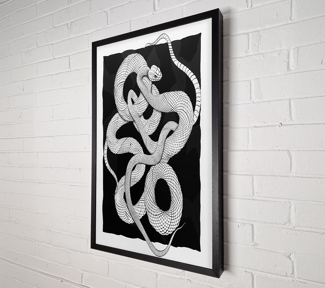  A Canvas Print of Black Snake Coils Canvas Print
