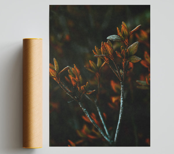 Golden Hour Sprigs Poster