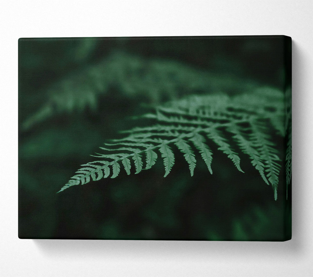  A Canvas Print of Emerald Fern Frond Canvas Wall Art