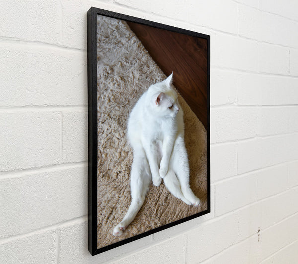 White Cat Slumber Party