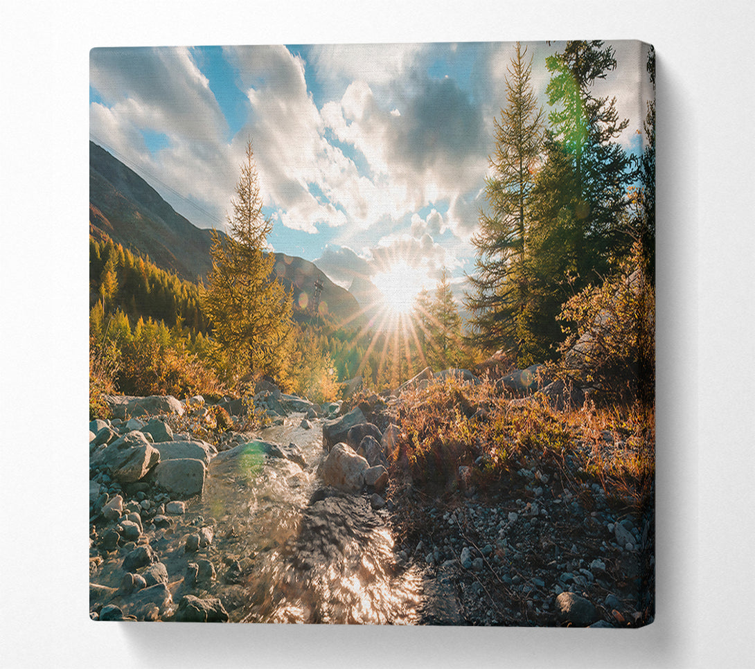  A Canvas Print of Golden Stream Sunset Canvas Print