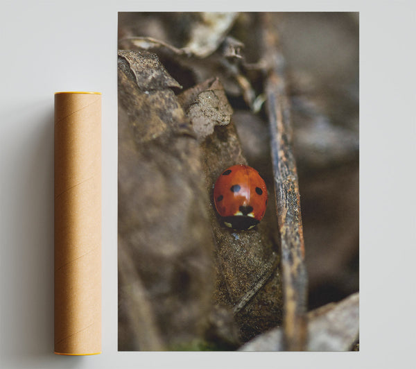 Red Lady In The Leaves Giclee Print