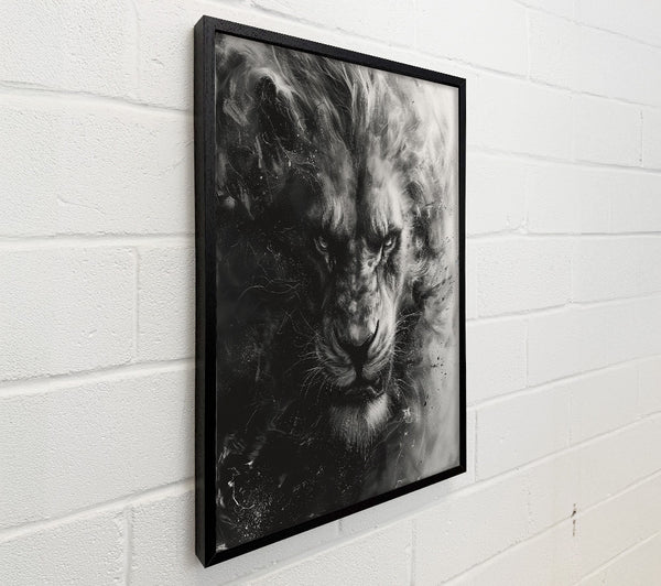 Black And White Lion Fierce