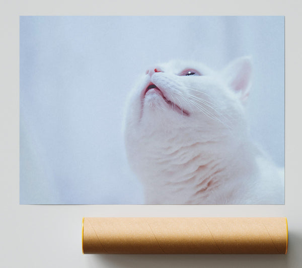 Whimsical White Gaze Giclee Print
