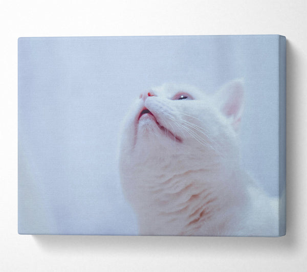  A Canvas Print of Whimsical White Gaze Canvas Wall Art