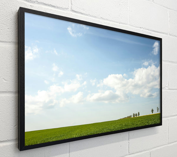 Green Skies And Fields