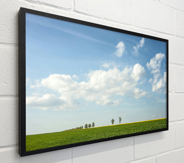 Green Field And Blue Sky